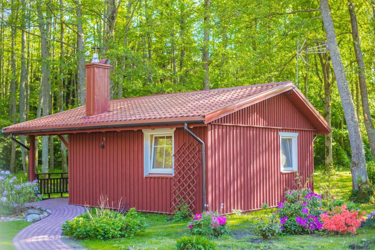 Namelis Nr 1 Adeles Sodyba Sturmai Экстерьер фото
