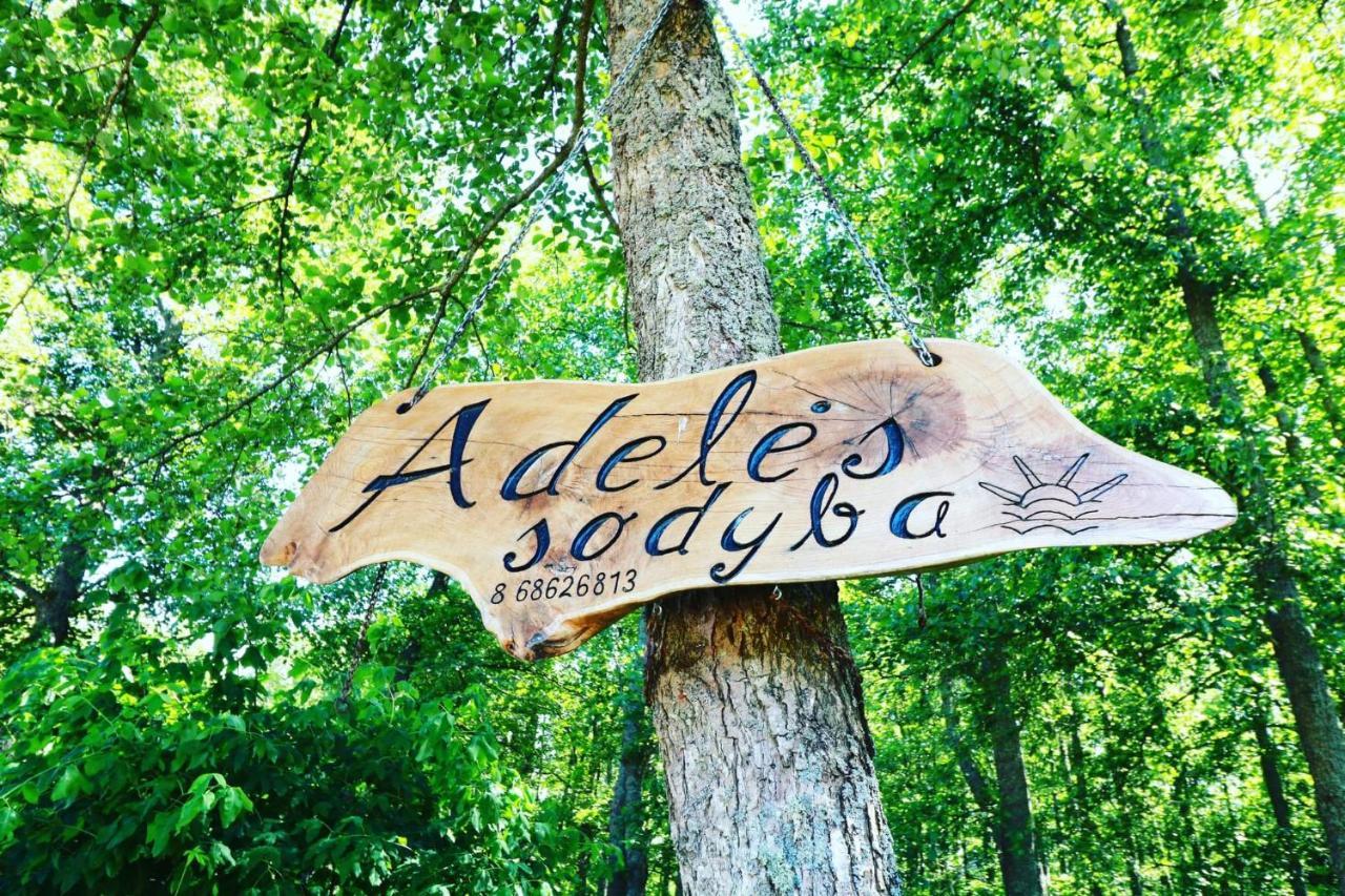 Namelis Nr 1 Adeles Sodyba Sturmai Экстерьер фото